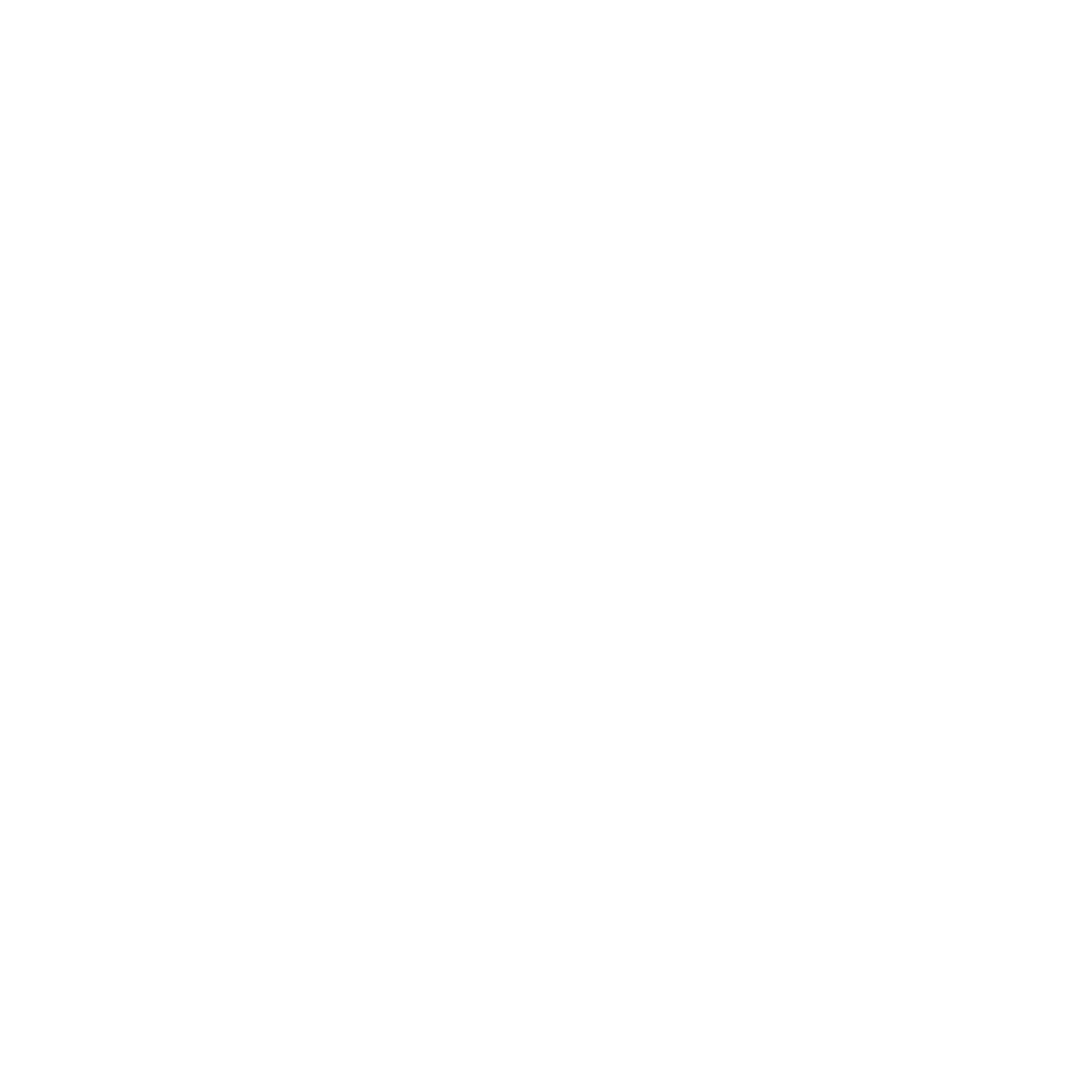 Zentai Logo